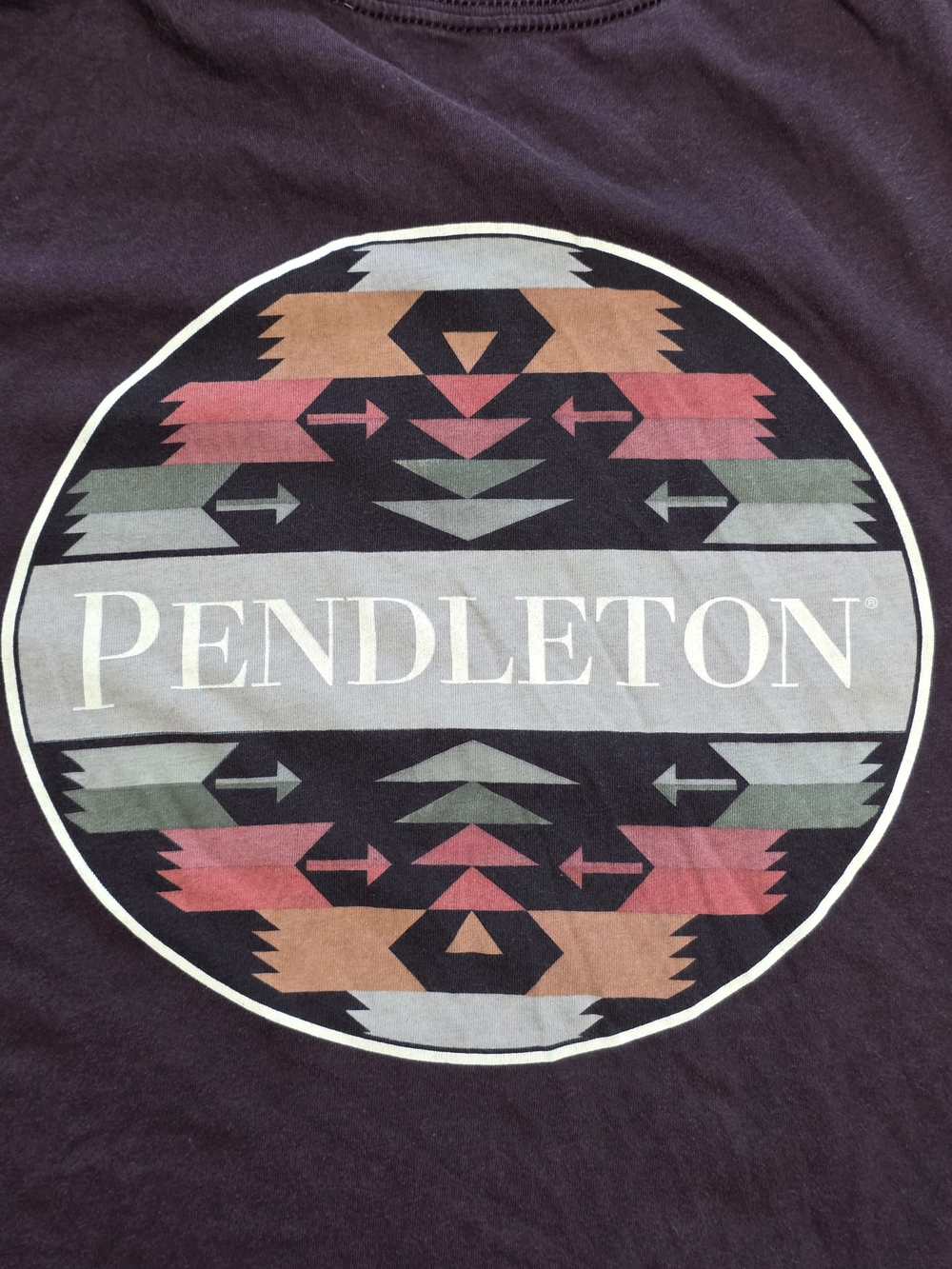 Pendleton Men's Bridge Creek Circle Graphic SS Tee Shirt Sz Sm *READ